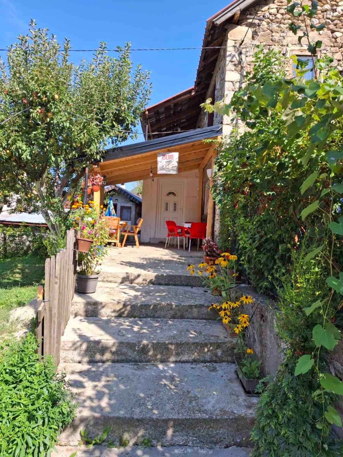 Guest House Guri Vusanje Exterior photo